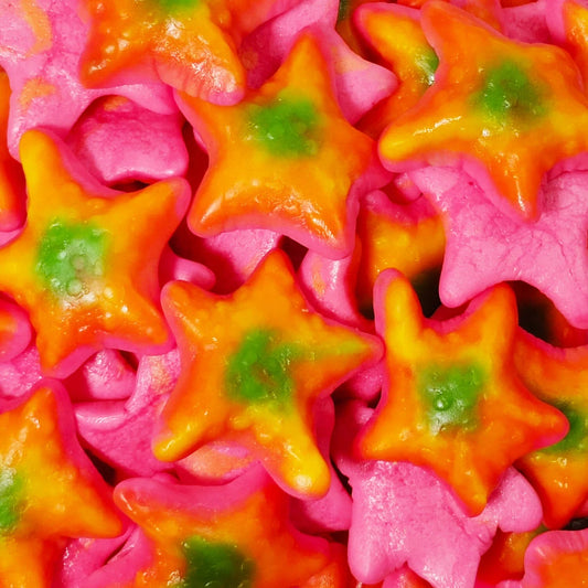 Étoiles de mer La boîte à snack