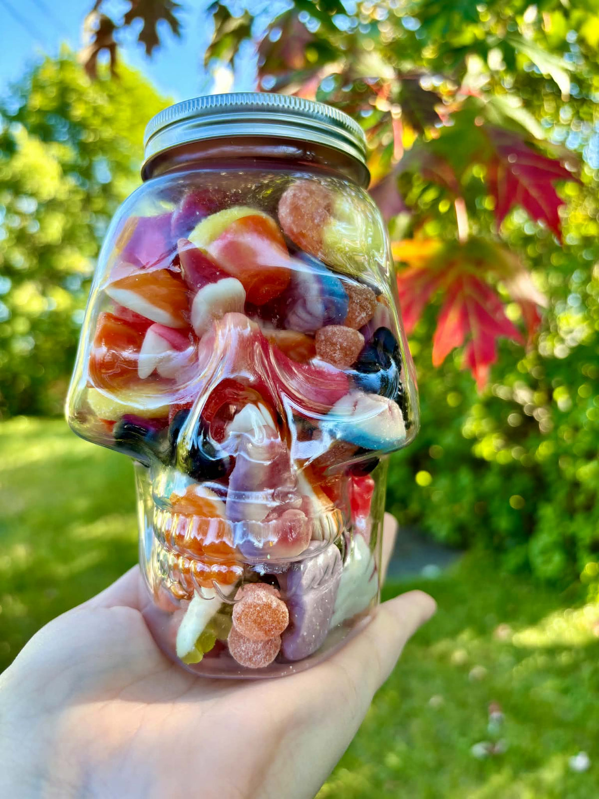 Bonbonnière - Mixte Halloween La boîte à snack