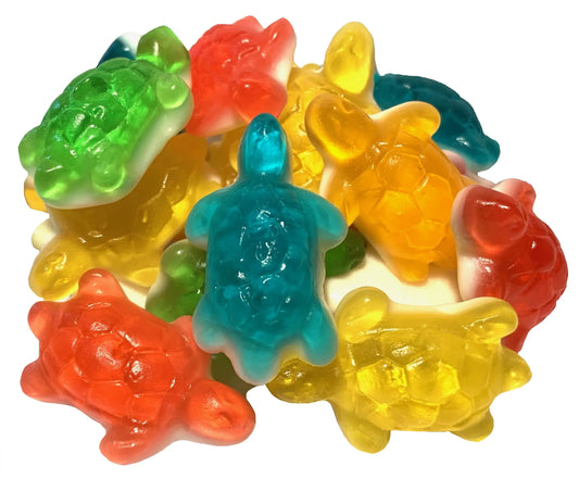 Tortues assorties La boîte à snack